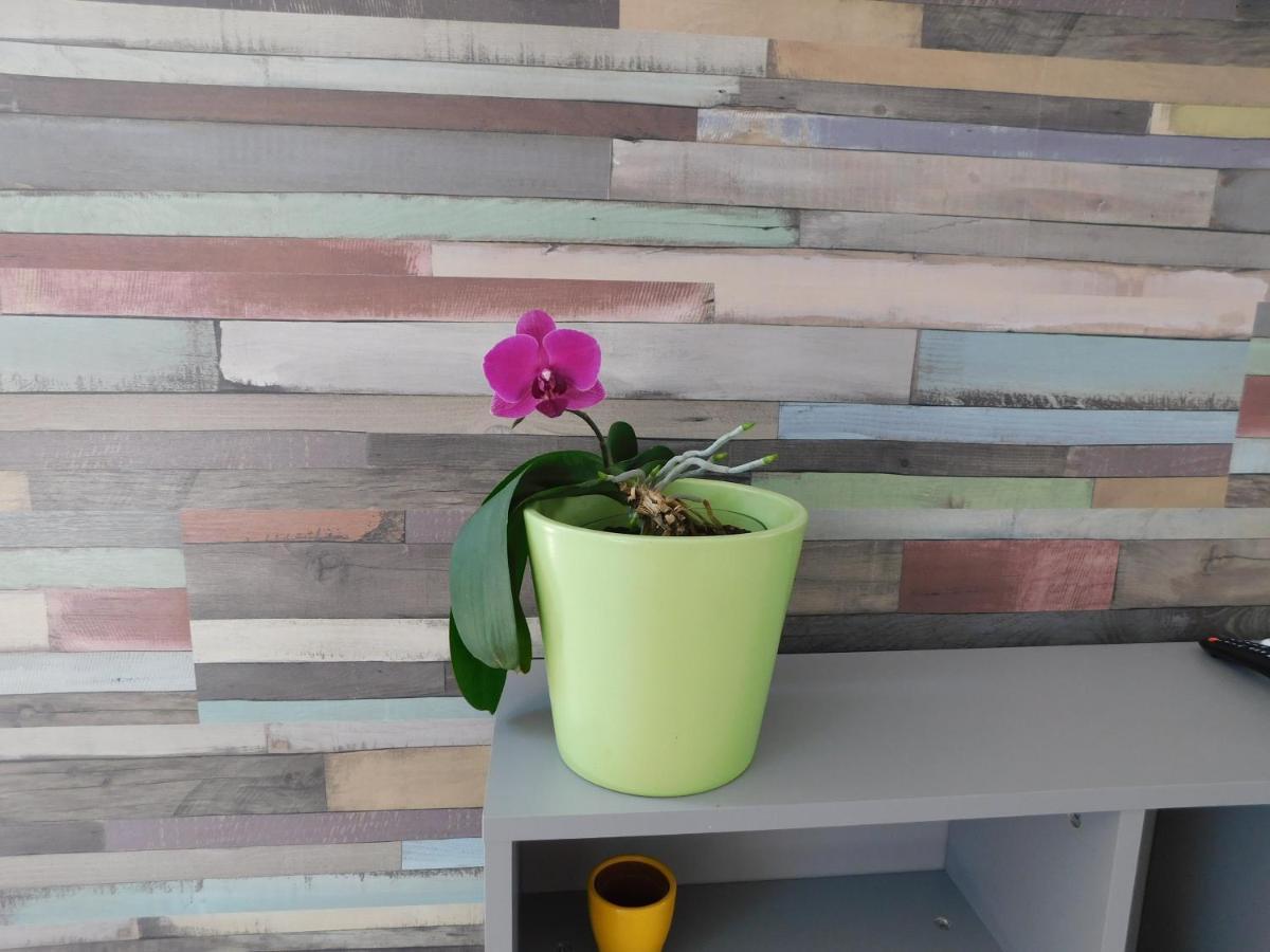 Tina Apartman Prnjavor エクステリア 写真